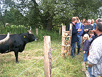 Der Weideverein TAURUS bei der Präsentation eines Weideprojektes